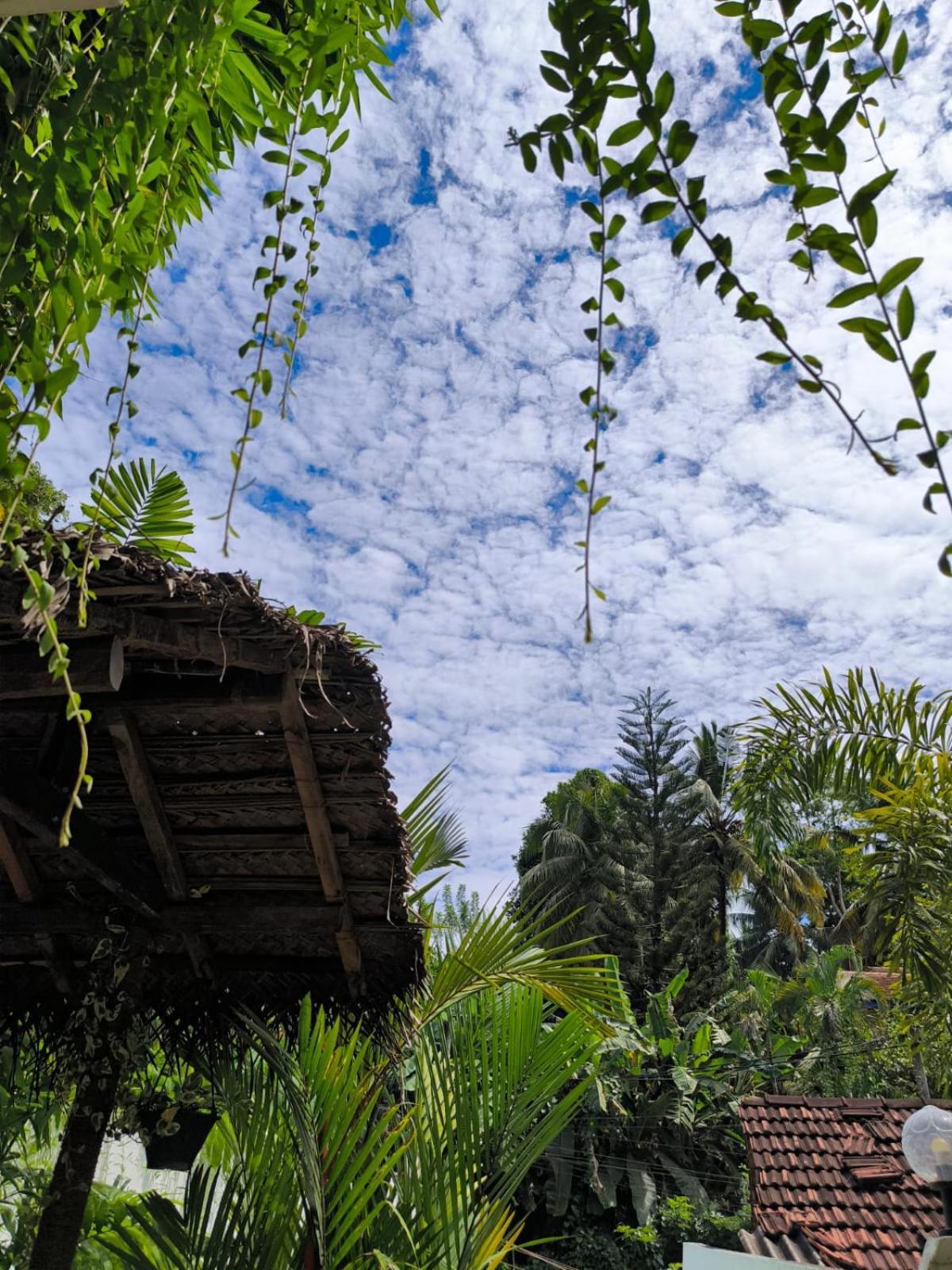 Hidden Villa Хиккадува Экстерьер фото